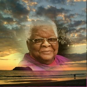 Meet your Posher, Annie